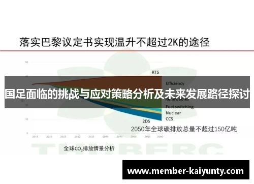 国足面临的挑战与应对策略分析及未来发展路径探讨