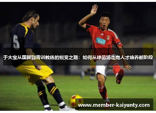 于大宝从国脚到青训教练的蜕变之路：如何从绿茵场走向人才培养新阶段