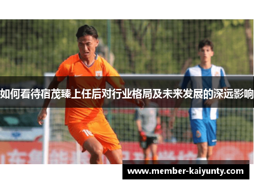 如何看待宿茂臻上任后对行业格局及未来发展的深远影响