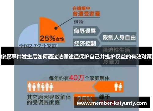 家暴事件发生后如何通过法律途径保护自己并维护权益的有效对策