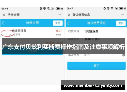 广东支付贝兹利买断费操作指南及注意事项解析