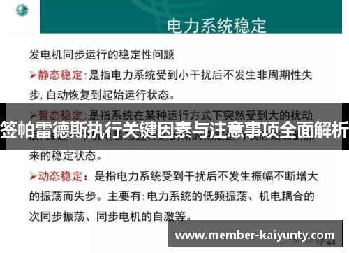 签帕雷德斯执行关键因素与注意事项全面解析