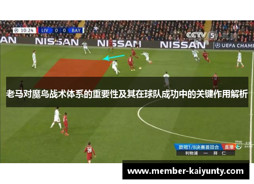 老马对魔鸟战术体系的重要性及其在球队成功中的关键作用解析