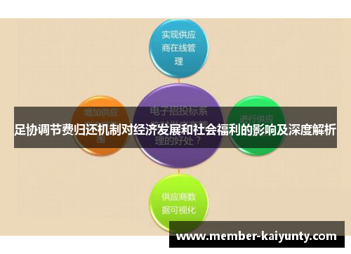 足协调节费归还机制对经济发展和社会福利的影响及深度解析