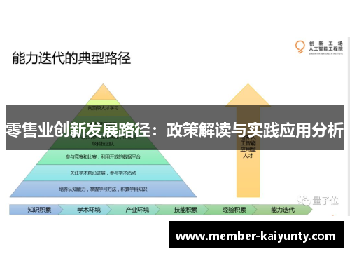 零售业创新发展路径:政策解读与实践应用分析 零售业创新发展路径:政策解读与实践应用分析