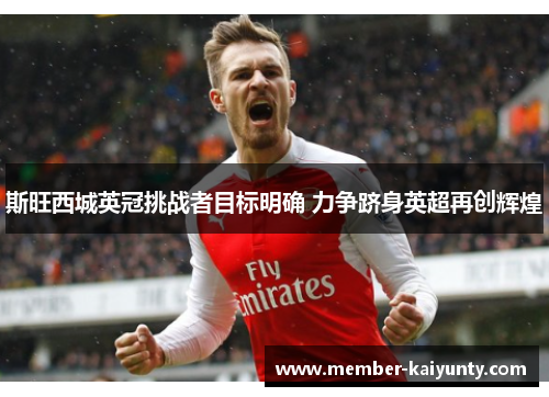 斯旺西城英冠挑战者目标明确 力争跻身英超再创辉煌