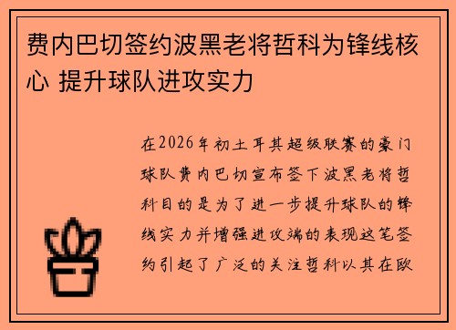 费内巴切签约波黑老将哲科为锋线核心 提升球队进攻实力 费内巴切签约波黑老将哲科为锋线核心 提升球队进攻实力